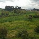 Pilar Cristina Barrera Silva