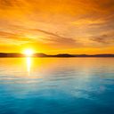 Monica Betancur Marin