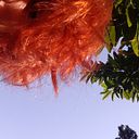 Maria Luiza