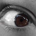 Felipe Pérez Torres