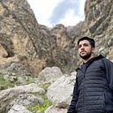 Ayman Anwar