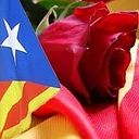 Maria Teresa Galan Buscató