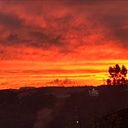 Pamela Flores Vallejos