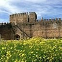 Maria Dolores Camacho Lozano