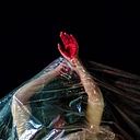 César Alberto Guzmán