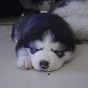 José Luis Orta Cicler