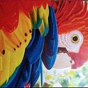 Jarinton Jose Gamero Chalarca