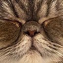 Alexandra Hernández Gomez