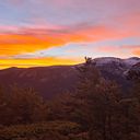 Angélica Ballestero Ballesteros