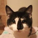 Edmundo Ugarte Burgoa