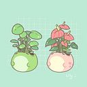 laura2concepcionsanta