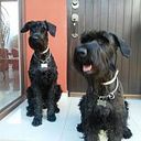 Carmen Maria Guerrero Romero