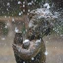 Stefania Chierichetti