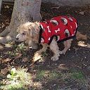 Byron Alexeil Muñoz Benavides