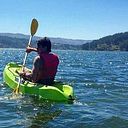 Nicolas Figueroa Valdes