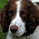 heathermead497