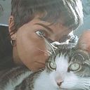 Pilar Romero Villarejo