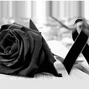 Nasser Aleman Altamirano