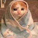 Veronica Lopez Flores