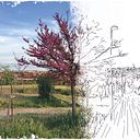 Jorge Moreno Utrilla