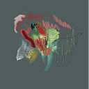 Berfin Damla Fiskeci