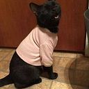 Edson Anthony Medina Carpio