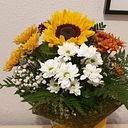 Lana Vázquez Pedreda