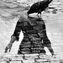 Priscila Erthal Risi