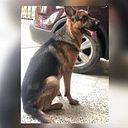 Marco Hernandez Sosa