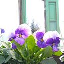 leticiamarceladimattia