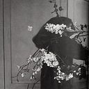 Francisca Campos Alcaíno