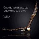 Ale Faria