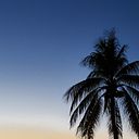 Diego González Guadarrama