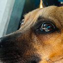 Aislynn Jimenez Huerta