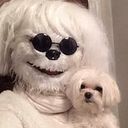 Macarena Espinoza Gatica