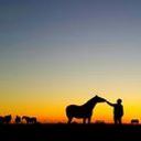 Braulio Fernandez Llosa