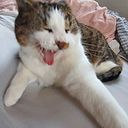 frieda_parre