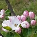 Véronique Molliere-deniau