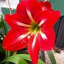 Mediación Educativa