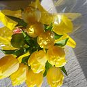 Elisabetta Del Turco