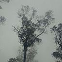 Sandra Hernandez Andrade