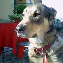 Vanessa Priscila Albornoz