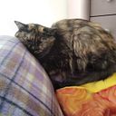 Verónica Suárez Pacheco