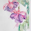 fanny durand