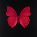 Valentina Fernández