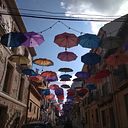 MÓNICA MANUELA TORRES MÉNDEZ