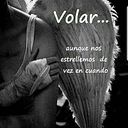 Bertha Alicia Gonzalez