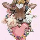 Genaro Enriquez Rocha