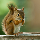 Erika Leal de la Fuente