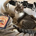 Marie-France Bertrand